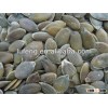 New Crop 2012 Chinese Cheape Pumpkin Seed