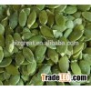 We are supply pumpkin seeds kernels , pumpkin seeds kernels for sale