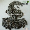 Chinese Inner Mongolia Sunflower Drying Seeds 5009