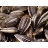 Sunflower Seed and Oil - Visit www.agriprices.com For Wholesale Price Discounts On Sunflower Seed