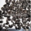 Oil sunflower seeds/black sunflower seeds/bird striped sunflower seeds