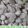 New Crop good price Snow White Pumpkin seeds