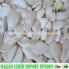 New Crop Dried snow white pumpkin seeds