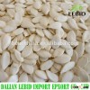 Top quality snow pumpkin seeds for sales