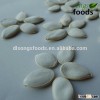 different types of seeds/Vegetable Seed/pumpkin seeds