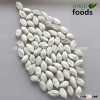 chinese vegetable seeds/Snow white pumpkin seeds