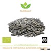 Organic Sunflower Seeds