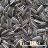 High Quality Sunflower Seeds Kernels