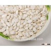 Chinese pumpkin seeds price, snow white