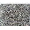 Sunflower seeds (bird food GF1)