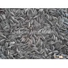 top quality long shape with white strip sunflower seeds sale