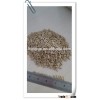 Sunflower Seed Kernels Confectionery Grade