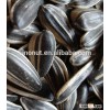 Sunflower Seeds in Shell 5009