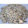 Sunflower Seeds Kernel Best Quality