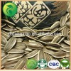 China Sunflower Seeds Bird For Sale