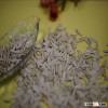 Turkish Origin Sunflower Seeds 6,5- cm (White&Grey Strip)
