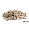 Quality Organic Sunflower Seeds. FREE SAMPLES AVAILABLE !!