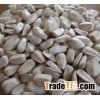 100% sunflower seeds kernel peeled sunflower seeds
