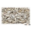 China Sunflower seeds kernels with best price for sale