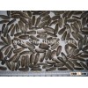 sunflower seeds 2015 crop