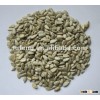 chinese bakery sunflower seeds kernel