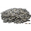 Sunflower Seed, Cumin Seeds, Chia Seeds, Ssame Seeds, Pumpkin Seeds