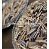 different types of sunflower seeds Wulanchabu city , Inner Mongolia