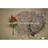 organic sunflower kernel