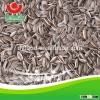 sunflower seeds 5009
