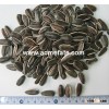Chinese sunflower seeds with different specification