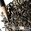 Black Sunflower Seeds For Sale