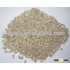 Confectionary Grade Sunflower Seeds Kernel