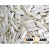 White Sunflower Seeds For Sale