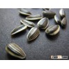 High Quality Organic Sunflower Seeds. FREE SAMPLES AVAILABLE !!