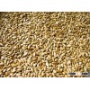 sunflower seed kernels