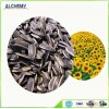 Wholesale sunflower seeds with pp woven bag