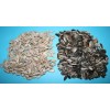 sunflower seed /sunflower seeds/sunflower seed kernel 24/64 26/68