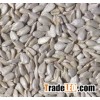 NON GMO Sunflower Seeds/Sunflower Seeds Kernel/Salted Sunflower Seeds