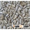 sunflower seeds and nuts price for oil extration /(oil content 40%)