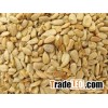 Sunflower Kernels(Bakery grade & Confectonery grade)/ Sunflower Seeds (and kernels)