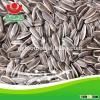 Sunflower seeds