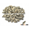 Supply Roasted Salted Sunflower seeds with good quality