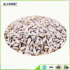 wholesale middle eastern food best quality sunflower seed kernel