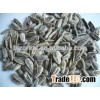 Supply best quality Roasted Salted Black Sunflower Seeds