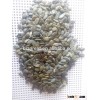 China pumpkin seed with good quality for sale