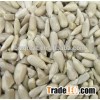 Sunflower seeds kernels with best price