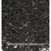 Black sunflower seed bird food