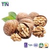 TTN Chinese Organic Raw Walnuts in Shell Price Walnut