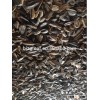 Roasted salted Black Sunflower Seeds with good quality for sale