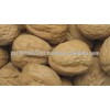 Walnuts inshell from South Africa, good price.